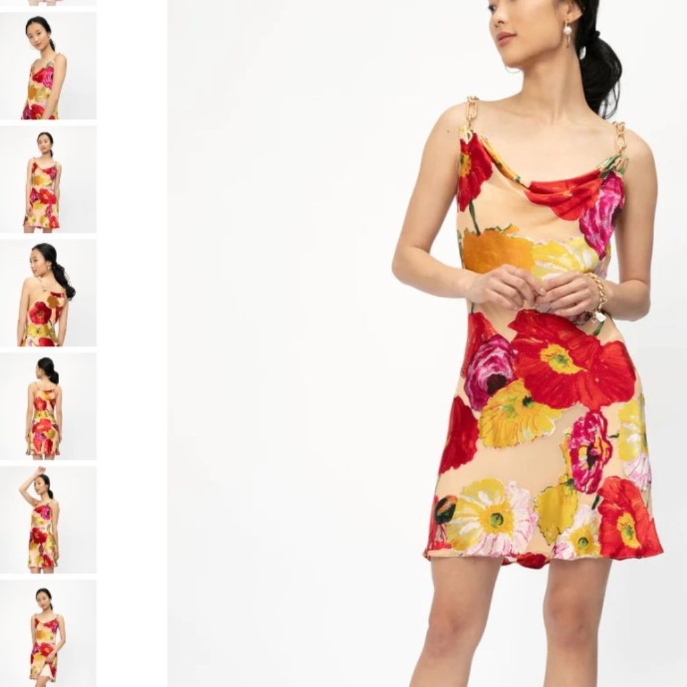 CULT GAIA Nerida Dress Floral XS